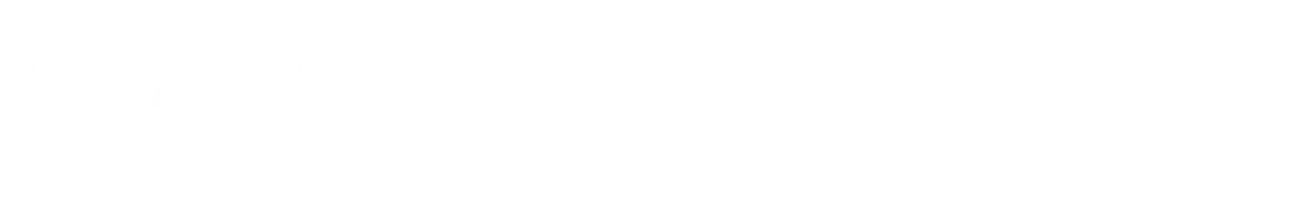 Vértua Invest +